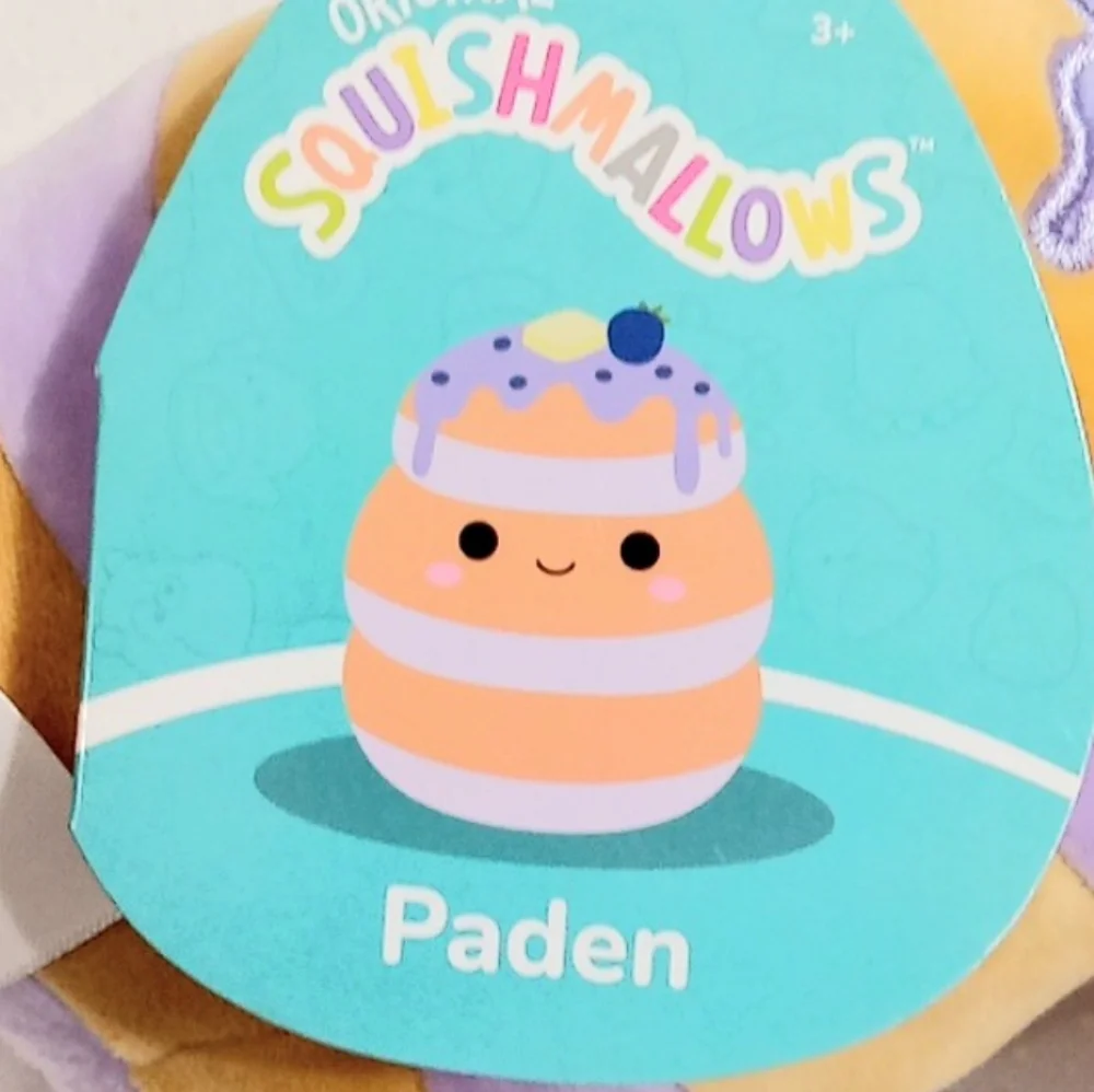 Squishmallows Paden The Blueberry Pancake 6.5